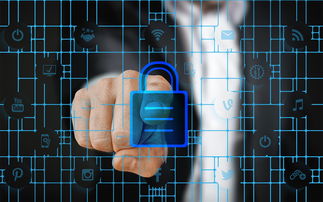 米兰体育官网入口-体育特许经营管理制度构建与案例研究，体育行业特有职业培训试点单位