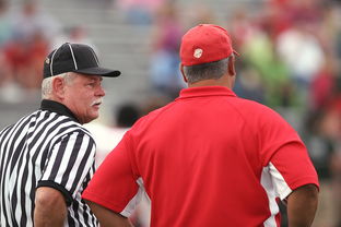 米兰体育app下载安装-意甲裁判语义分析辅助判罚准确性的应用探讨，意甲 裁判