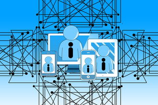 米兰体育足球-篮球专项技能教学中的技术动作细化分析，篮球动作技能理论知识